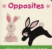 Little Books For Little Hands - Opposites