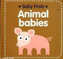 Baby Firsts - Animal babies