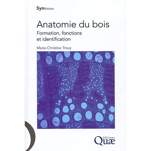 Anatomie du bois  - Formation, fonctions et identification