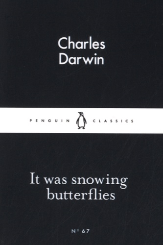 It was Snowing Butterflies