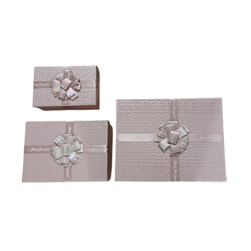 Boite Cadeaux Rectangulaire 180 x 255MM