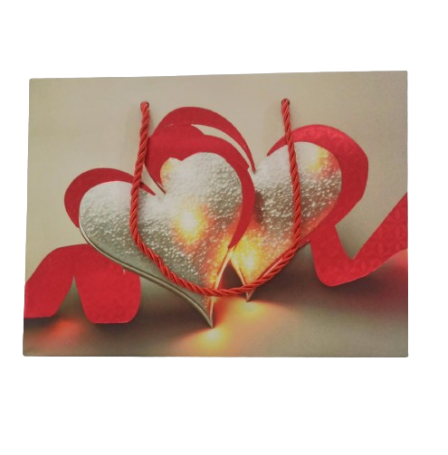 Sac Cadeau PM 230x180