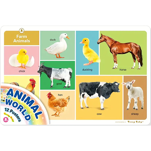 ANIMAL WORLD - 12 Posters