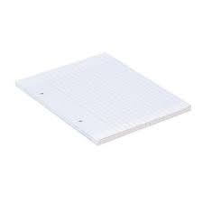 Feuilles Doubles 17*22 60G 80P Blanche