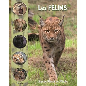 les félins