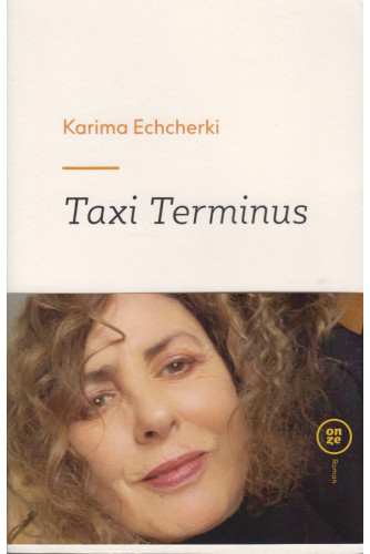 taxi terminus