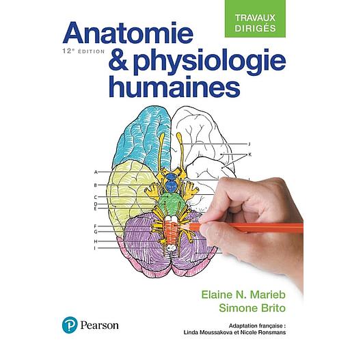 Anatomie et physiologies humaines - Travaux dirigés