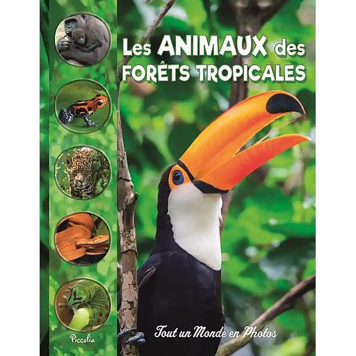 Les animaux des forêts tropicales