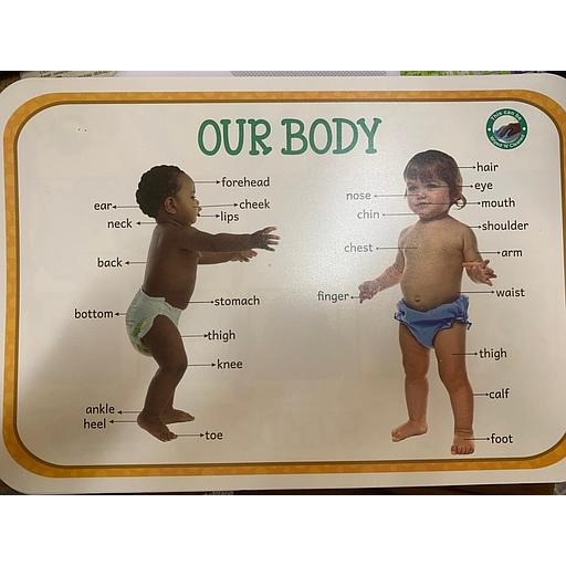 Poster éducatif : Our body