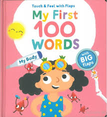 Touch &amp; Feel with Flaps - My First 100 Words - My Body