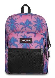 sac à dos Pinnacle Brize Dye Pink