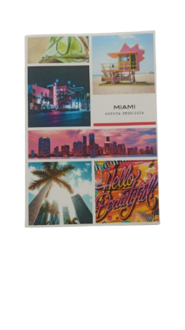 Agenda Miami - 1 jour par page - 12 x 17 cm