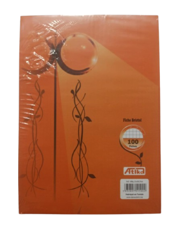 Fiche Bristol A4 210*29.7 180G 5*5 Multicolore