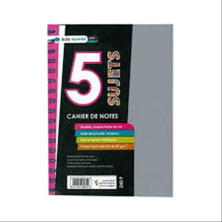 Registre avec Spiral 5 Sujet 240P 80Grs 5*5