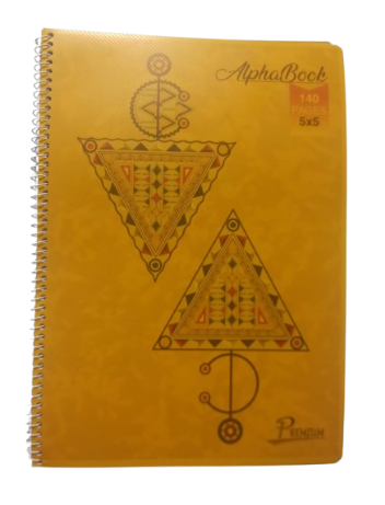 Cahier Spiral 21*29.7 140 Pages 5*5