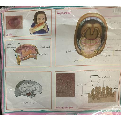 ملفات ورقية تعليمية اللسان + موضوع