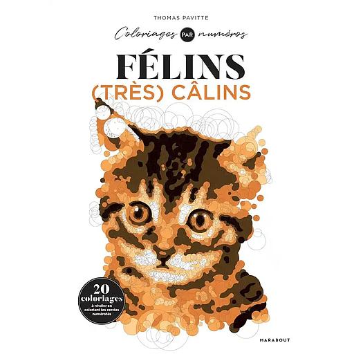 Félins (très) câlins