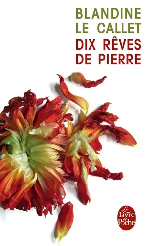 Dix rêves de pierr