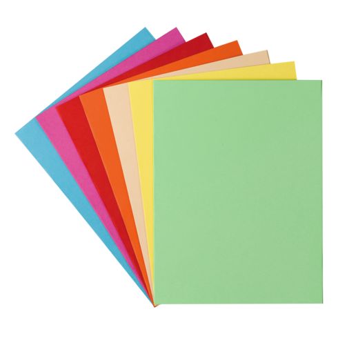 Chemise Cartonnée Plastifiée