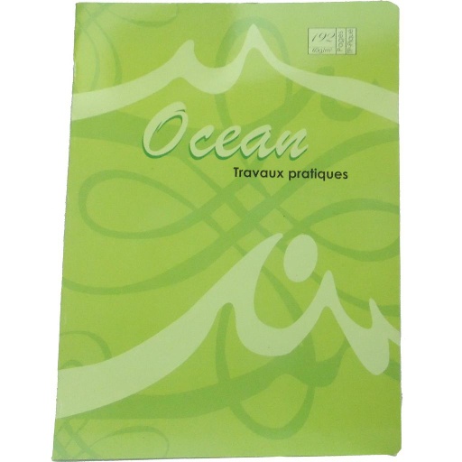 Cahier Piqué Séyès TP 24 x 32 192P 60G