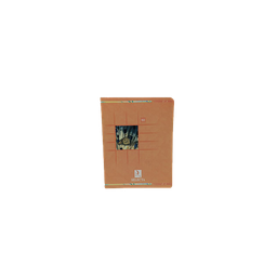 Cahier Piqué 17*22 48P 60G Séyès