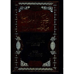 الضياء اللامع من الخطب الجوامع