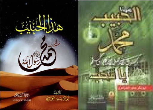 هذا الحبيب محمد رسول الله صلى الله عليه وسلم يامحب