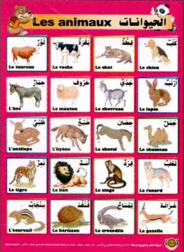 Poster éducatif Les animaux - صويرات تعليمية الحيوانات