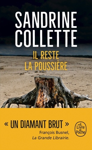Il reste la poussièr