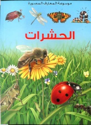 الحشرات