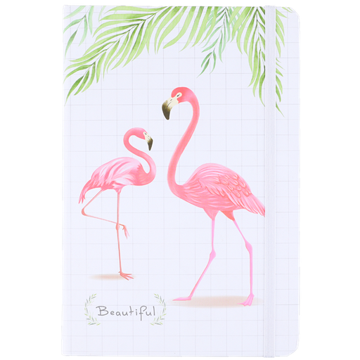Carnet Note Book 3783 Boost Star