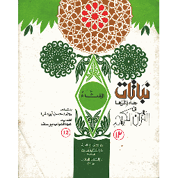 القثاء 12