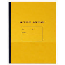 Carnet Recettes Dépenses - 21*27 - 50x2