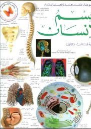 جسم الإنسان