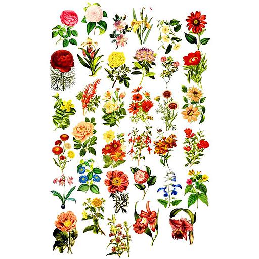 Sticker Fleur
