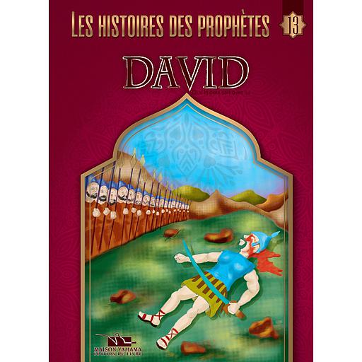 [TOP PRO16T] DAVID/Dâud