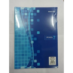 Feuilles doubles 21x29.7 96P