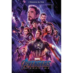 Avengers Endgame  - L'histoire du film