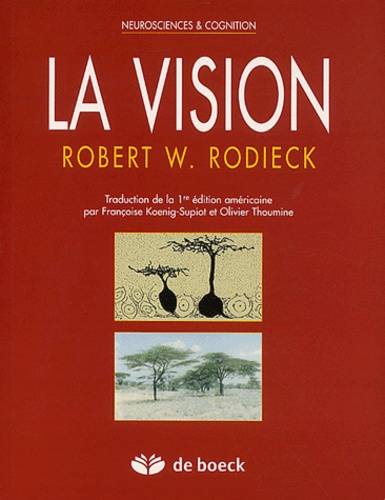 La vision