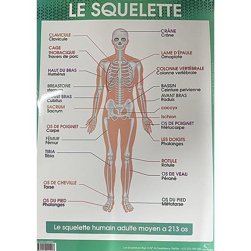 [9780000111227] Poster "Le Squelette"
