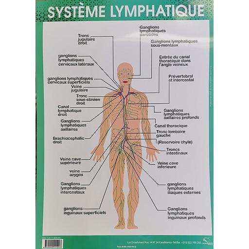 [9780000111227] Poster "Système Lymphatique"