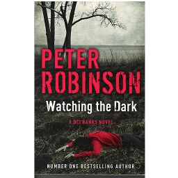 Watching the Dark