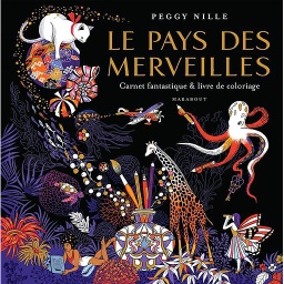 Le pays des merveilles  - Carnet fantastique & livre de coloriage
