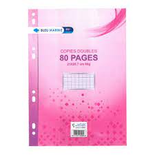 Copie Doubles Rose 21*29.7 60G 96P