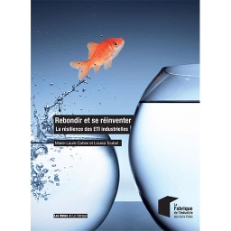 Rebondir et se réinventer  - La résilience des ETI industrielles