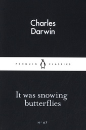 It was Snowing Butterflies