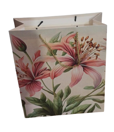 [y6014-s] Sac Cadeau