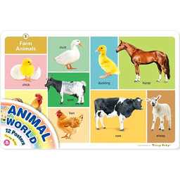 ANIMAL WORLD - 12 Posters