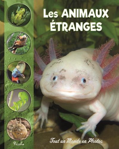 [PIC072831] Les animaux étranges et méconnus