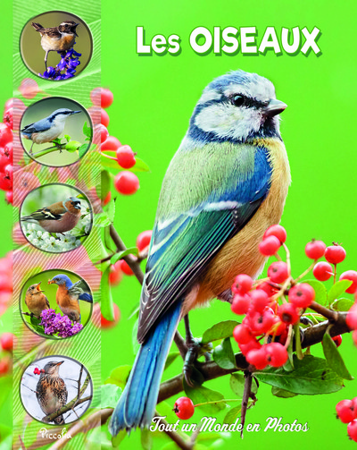 [PIC072848] Les oiseaux